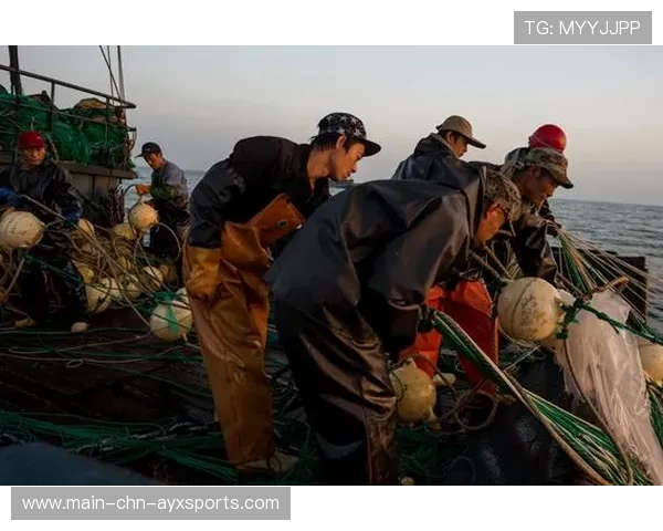 举重安全防护升级，训练事故显著下降