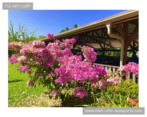 圭亚那洋娃娃舞蹈运动成为新潮流,圭亚那的官方语言是什么 圭亚那洋娃娃舞蹈运动成为新潮流,圭亚那的官方语言是什么